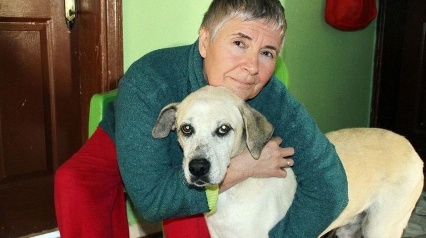 (&ouml;zel Haber) Kredi &Ccedil;ekti, Arabasını Satıp Hayatını K&ouml;peklere Adadı