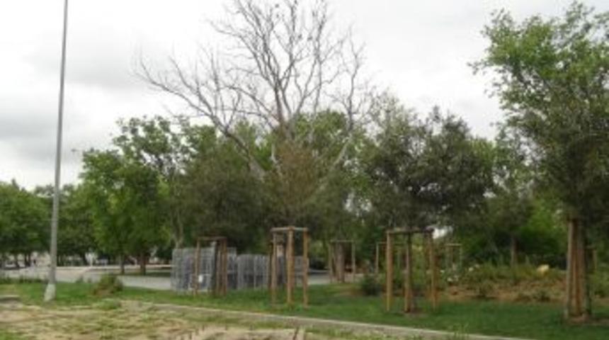 (&ouml;zel) Taksim&rsquo;de Karga Paniği