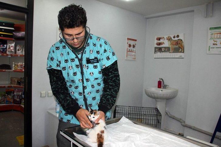 Sokakta Bulunan Yavru Kedinin Kalbi Sağda Çıktı G3