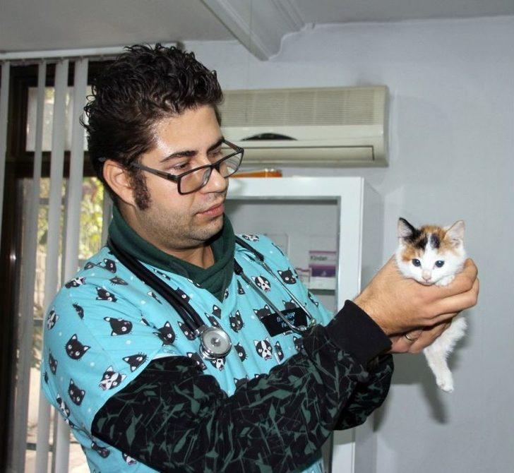 Sokakta Bulunan Yavru Kedinin Kalbi Sağda Çıktı G4