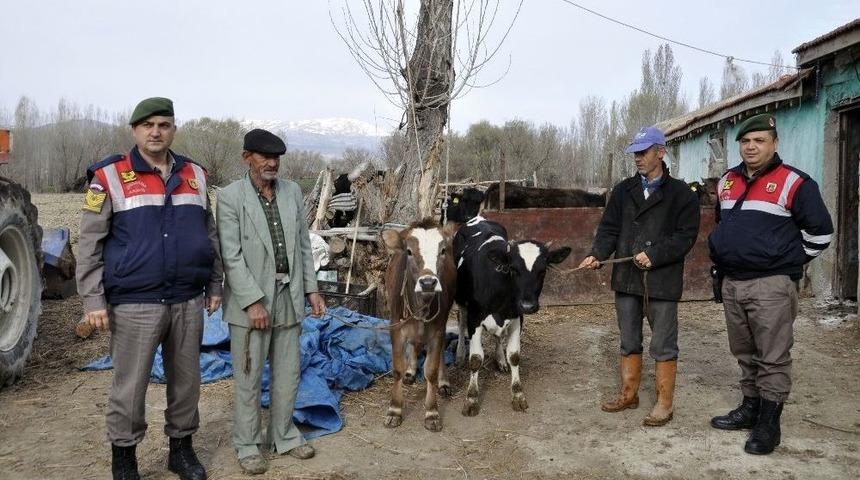 Konya&rsquo;da &Ccedil;alınan İnekler G&ouml;rme Engelli Sahibine Teslim Edildi
