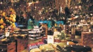 Rainforest Cafe’de Safari Macerası