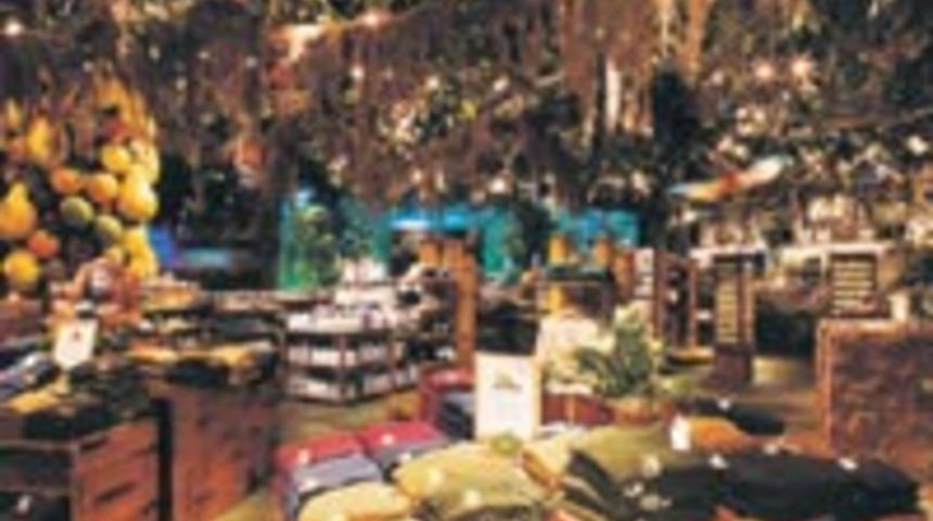 Rainforest Cafe&rsquo;de Safari Macerası