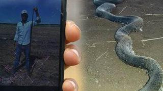 Bu köyde kimse uyuyamıyor! Boyları 3-5 metre arasında...