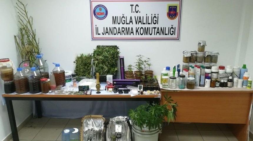 Jandarmadan Uyuşturucu Operasyonu: 1 Tutuklama