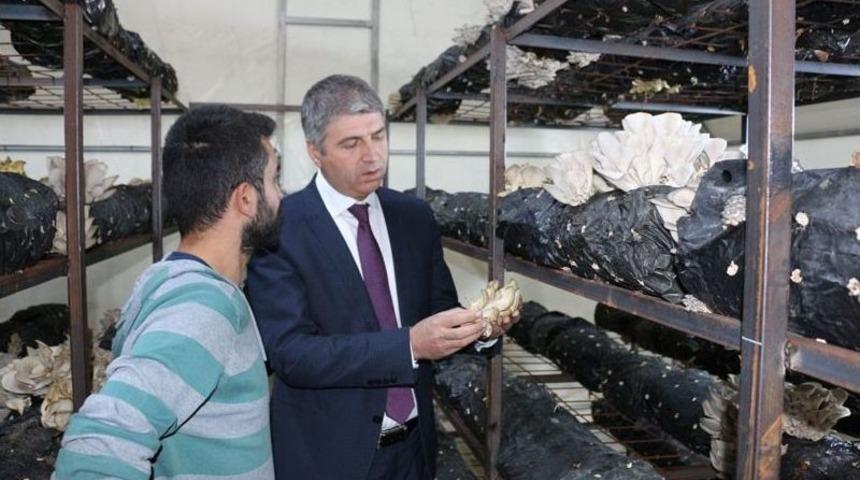 &lsquo;gen&ccedil; &Ccedil;ift&ccedil;i Projeleri&rsquo;nin Başarısı Y&uuml;z G&uuml;ld&uuml;r&uuml;yor