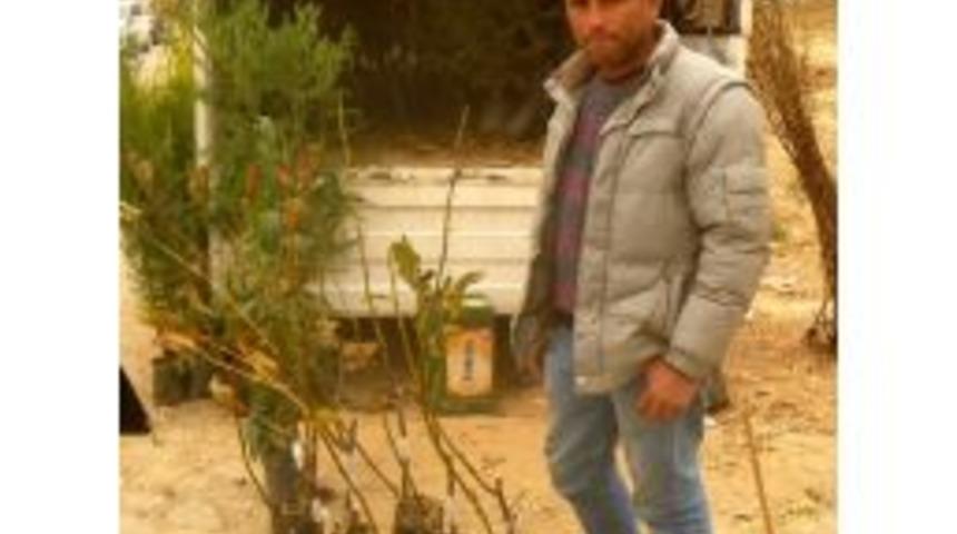 Mevsimin Fidanları G&ouml;r&uuml;c&uuml;ye &Ccedil;ıktı