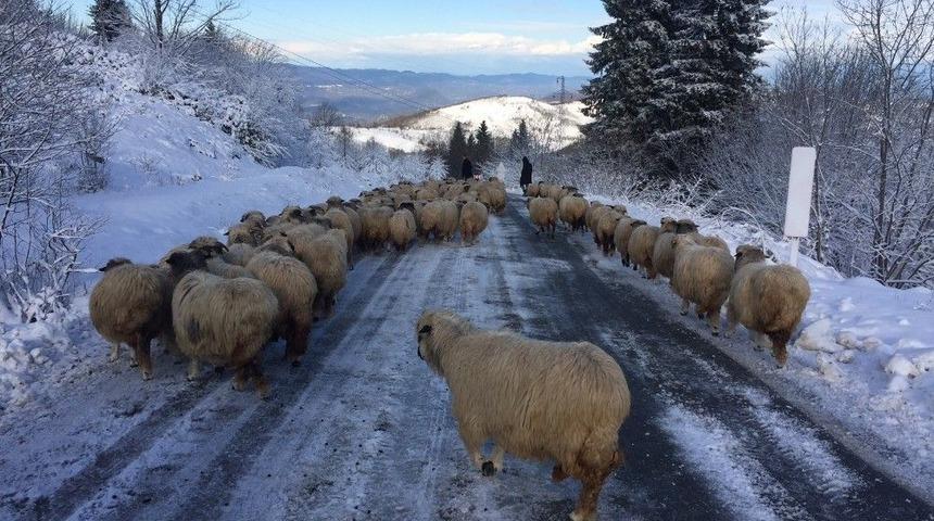 Kar Yağınca Hazırlıksız Yakalandılar