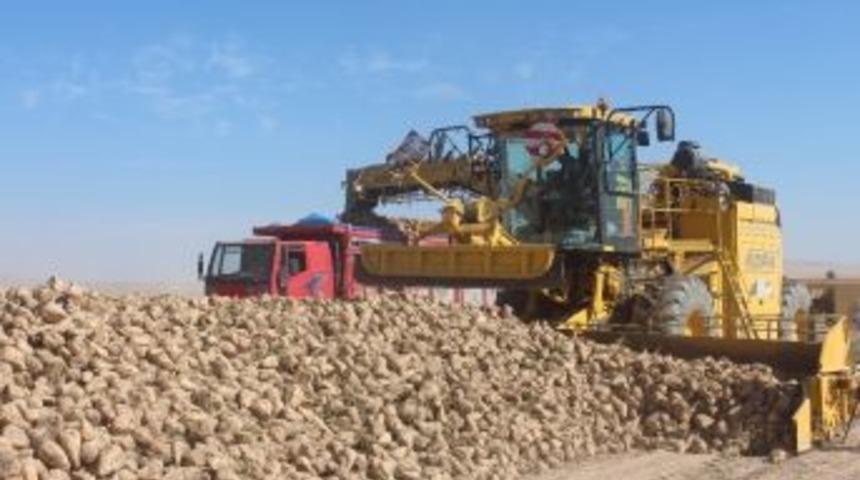 Randevulu S&ouml;k&uuml;m Uygulaması İle İmece K&uuml;lt&uuml;r&uuml; Gelişiyor