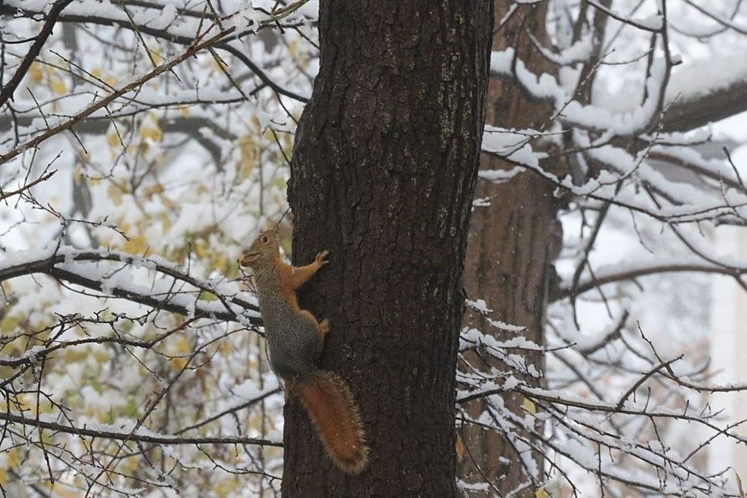 Safranbolu&rsquo;da Kar G&uuml;zelliği