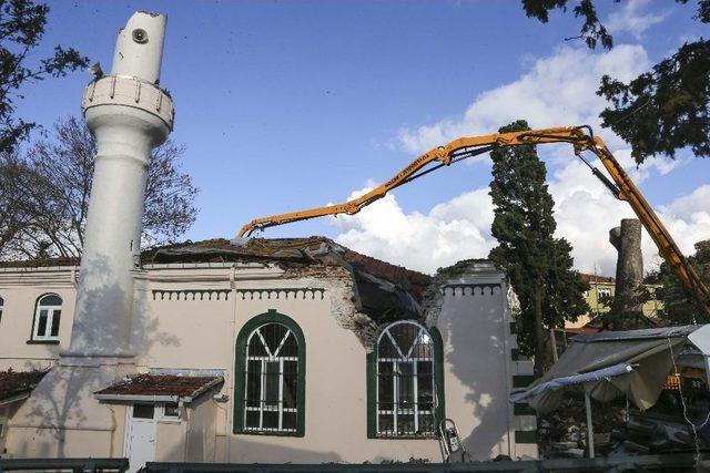 Caminin Üzerine Devrilen 600 Yıllık Çınar Ayağa Kaldırıldı