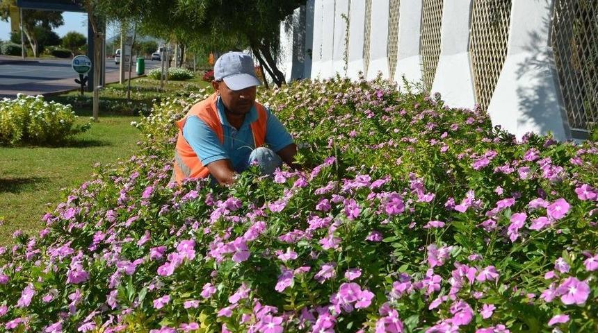 Alanya’ya 250 Bin Çiçek