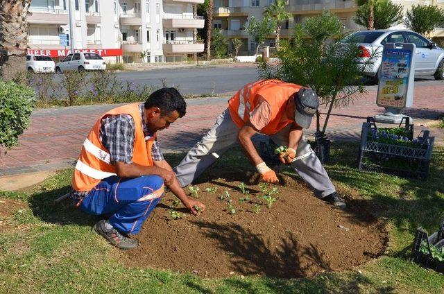 Alanya’ya 250 Bin Çiçek 1
