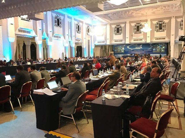 Orkinos Avlanma Kotasında Zafer T&uuml;rklerin Oldu 1