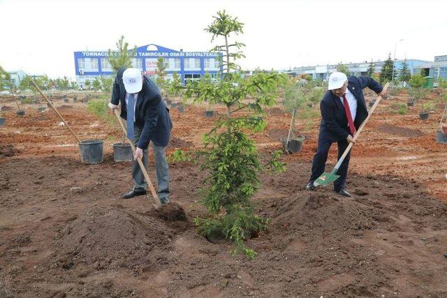 75’inci Yıl Mahallesine Kardeşlik Ormanı