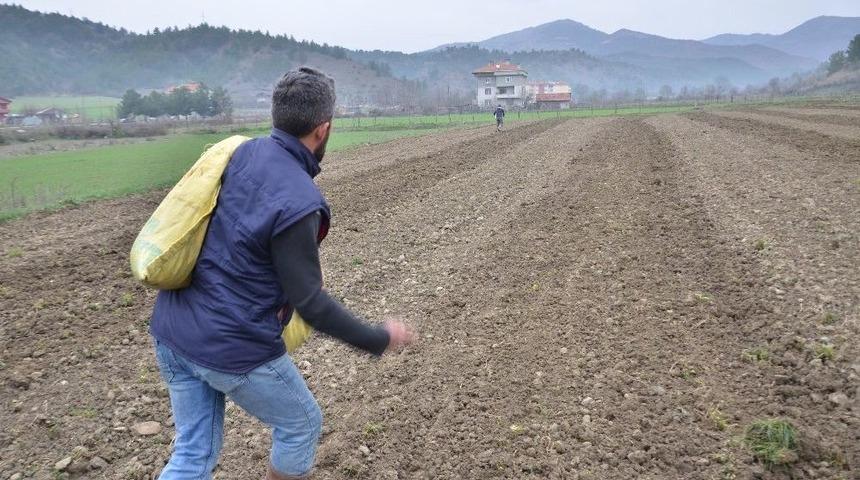 Han&ouml;n&uuml;&rsquo;de Yıllar Sonra Kendir Ekimine Başlandı