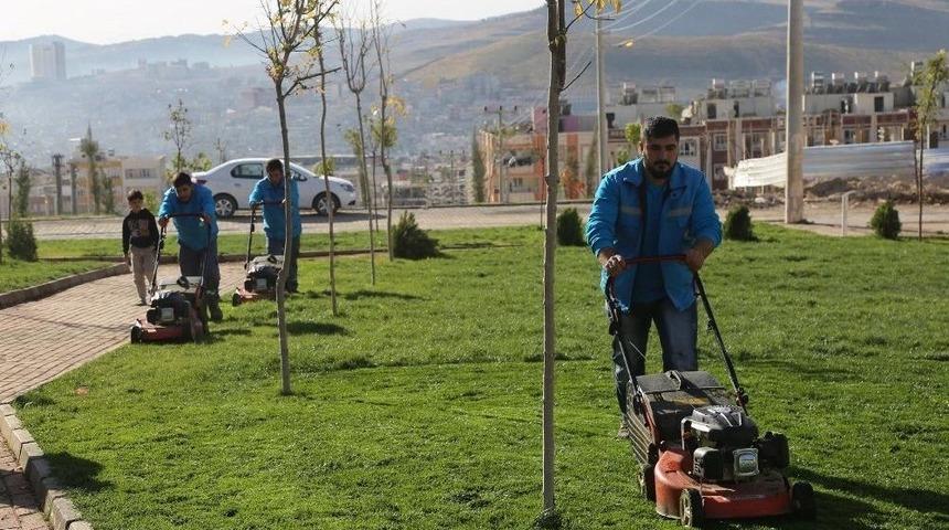 Haliliye&rsquo;deki Parklarda Mevsimlik &Ccedil;alışmalar Başladı