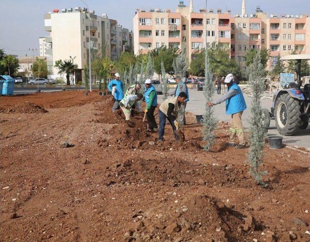 Haliliye&rsquo;deki Parklarda Mevsimlik &Ccedil;alışmalar Başladı 1