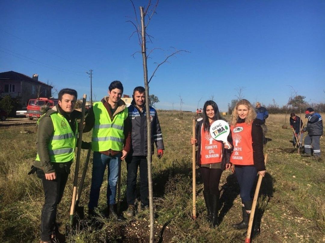 Kırklareli&rsquo;de Gen&ccedil;ler Ihlamur Ağacı Dikti