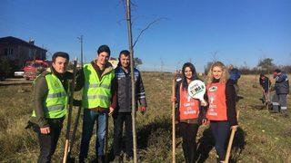 Kırklareli’de Gençler Ihlamur Ağacı Dikti