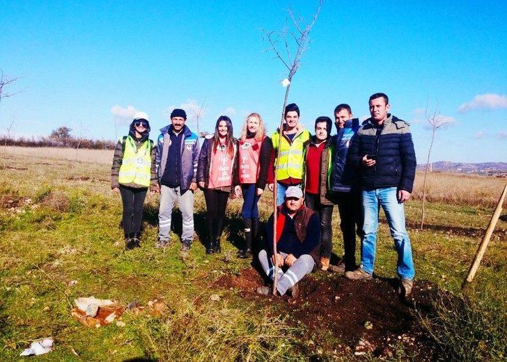 Kırklareli’de Gençler Ihlamur Ağacı Dikti G1