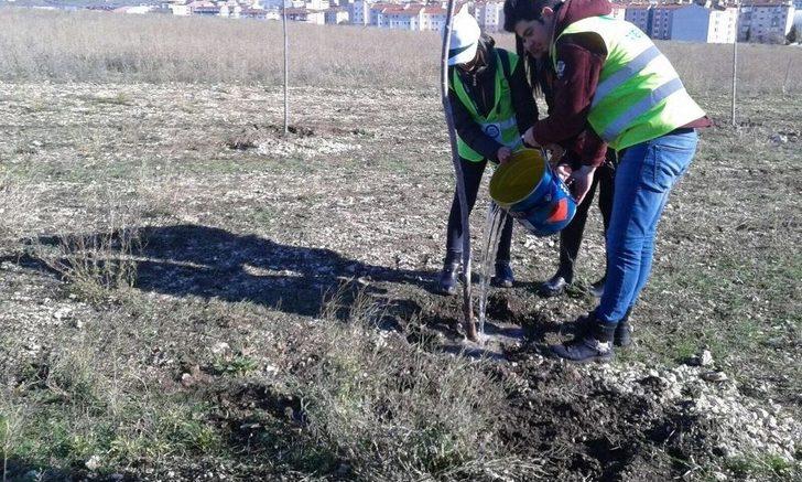 Kırklareli’de Gençler Ihlamur Ağacı Dikti G2