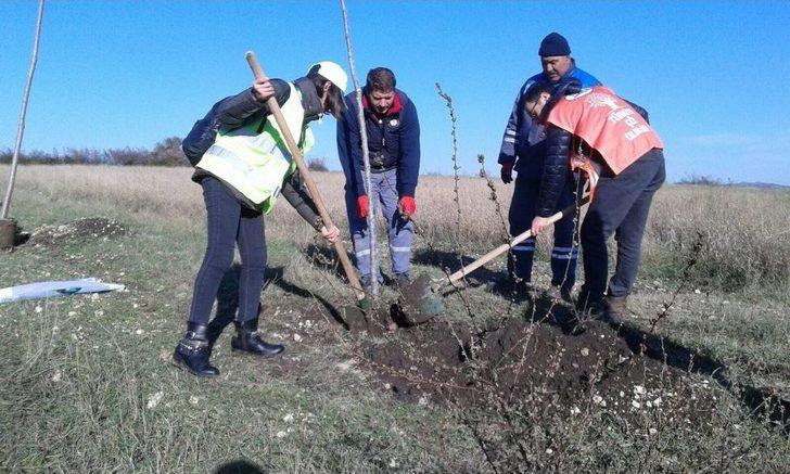Kırklareli’de Gençler Ihlamur Ağacı Dikti G4