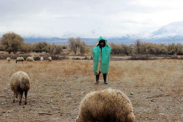 Erzincan’da Çobanlar Kar Nedeniyle Yaylada Mahsur Kaldı