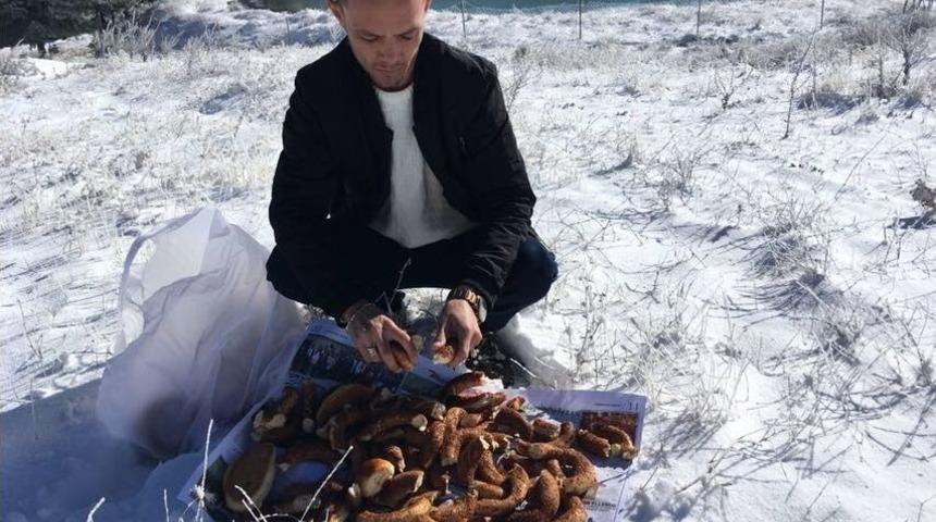 Demirci&rsquo;de Yaban Hayat Unutulmadı