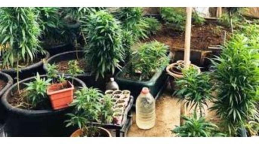 Evin Bah&ccedil;esine Uyuşturucu Serası Kurmuş