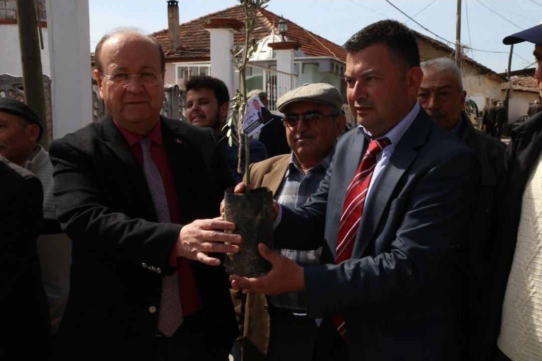 Efeler Belediyesi&rsquo;nden &rsquo;zeytin Dalı Harekatı&rsquo;na Zeytin Fidanı İle Destek