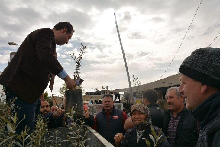 Efeler Belediyesi’nden ’zeytin Dalı Harekatı’na Zeytin Fidanı İle Destek G4