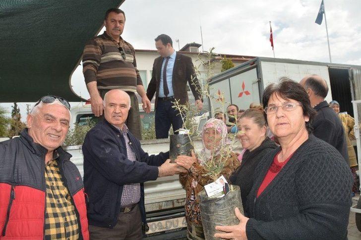 Efeler Belediyesi’nden ’zeytin Dalı Harekatı’na Zeytin Fidanı İle Destek G5