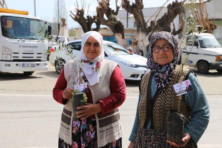 Efeler Belediyesi’nden ’zeytin Dalı Harekatı’na Zeytin Fidanı İle Destek G2