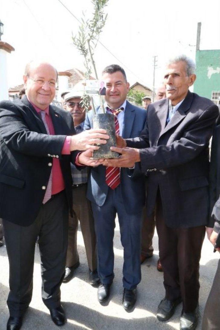 Efeler Belediyesi’nden ’zeytin Dalı Harekatı’na Zeytin Fidanı İle Destek G3