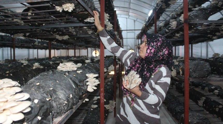 &lsquo;gen&ccedil; &Ccedil;ift&ccedil;i Projesi&rsquo; İle Kendi İşini Kurdu