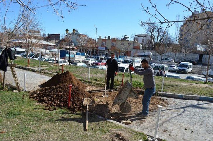 Adilcevaz’da Park Ve Mezarlıklarda Bahar Temizliği G3