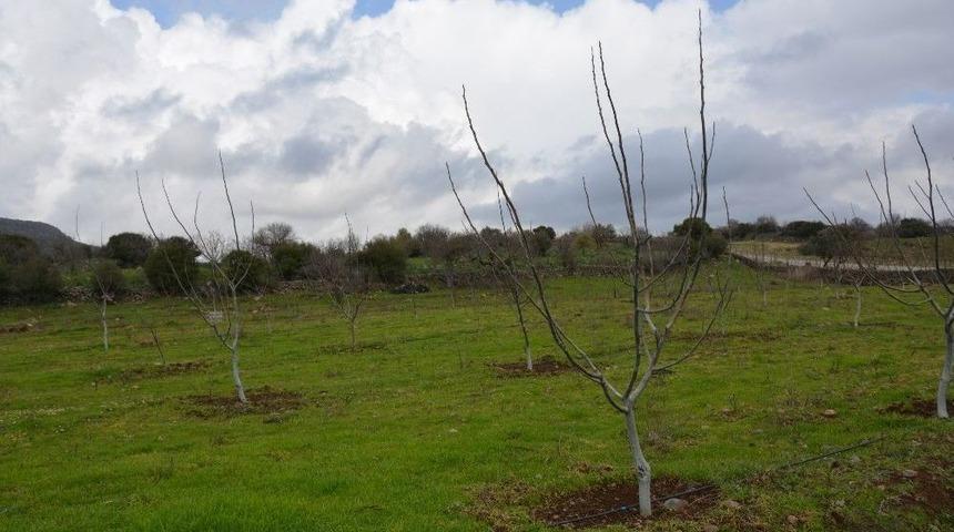 Üreticiler Yunusemre’yle Kalkınıyor