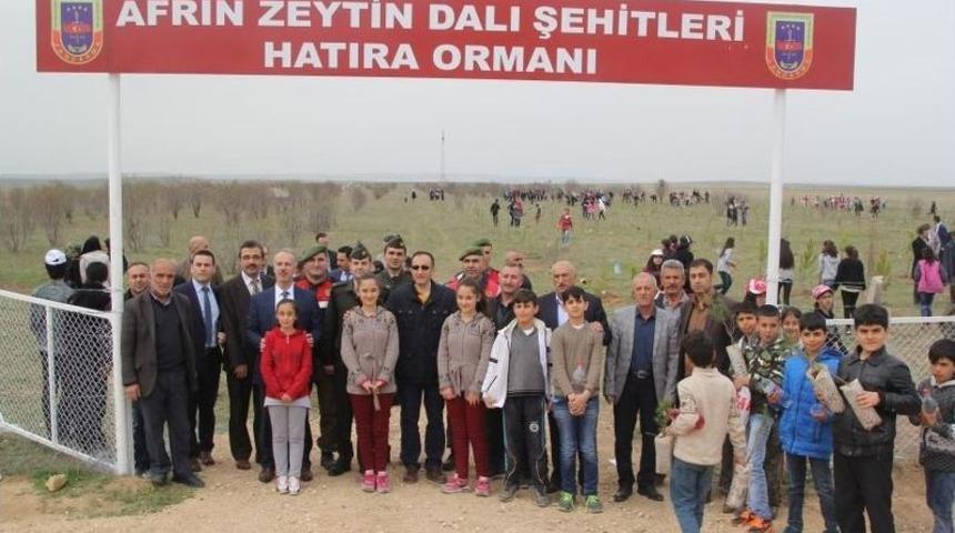 Cihanbeyli&rsquo;de Şehitler İ&ccedil;in 500 Fidan Toprakla Buluşturuldu