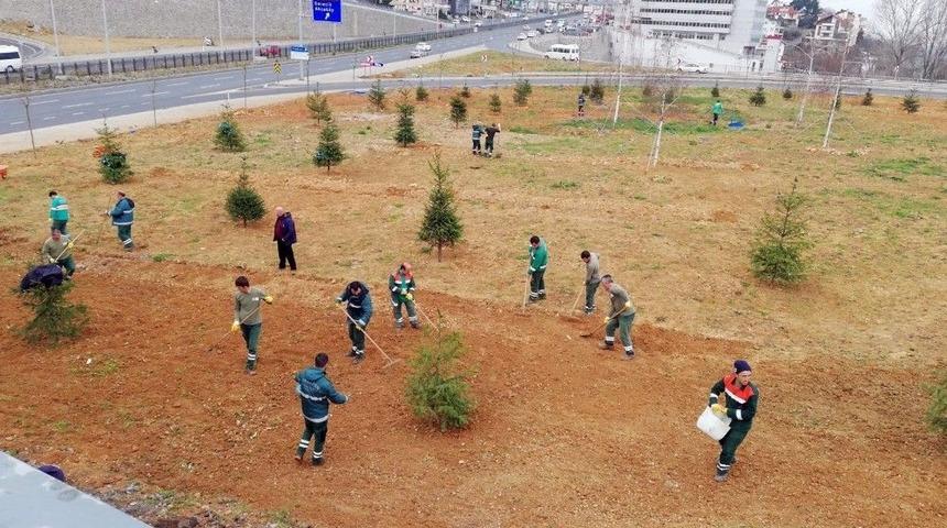 Trabzon’un Güzelleşmesi İçin 114 Bin 307 Ağaç Dikildi