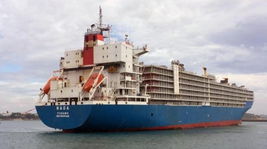 'İstanbul'da bekleyen gemide şarbonlu hayvanlar var' iddiası gündem yaratmıştı! Bakanlık'tan açıklama geldi