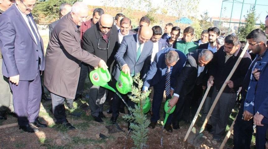 Bakan Yardımcısı T&uuml;fek&ccedil;i Okul Bah&ccedil;esine Fidan Dikti