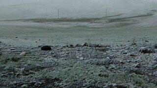 Posof’a Mayıs Ayında Kar Yağdı