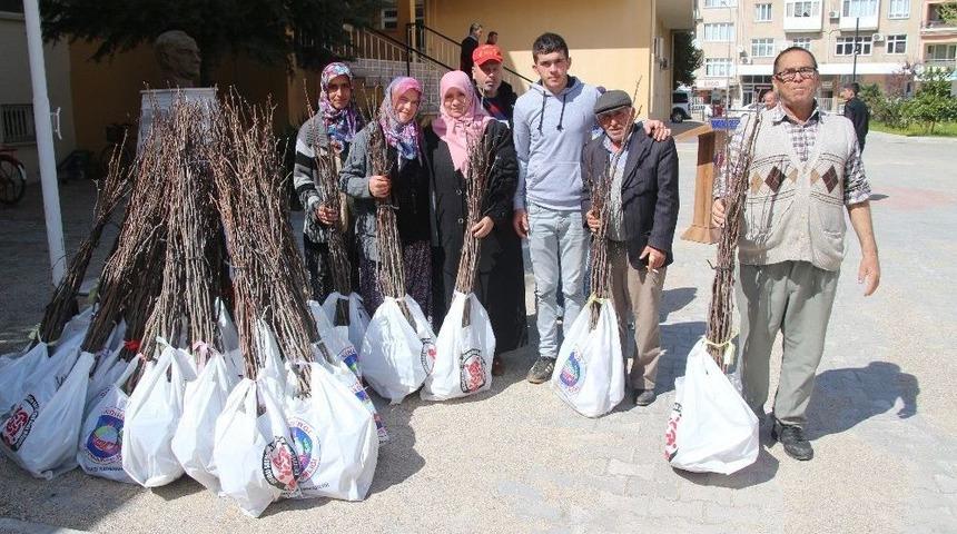 Sındırgı H&uuml;nnap Merkezi Olacak