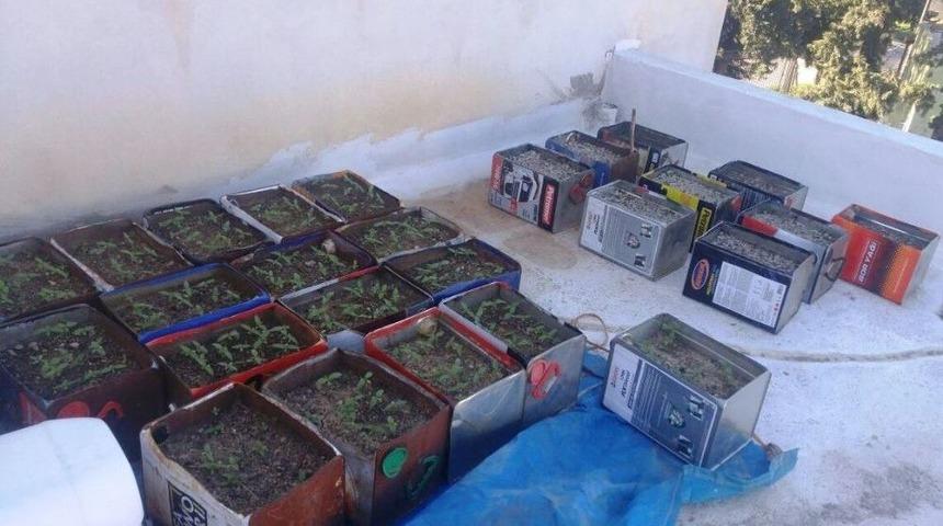 İskenderun’da Uyuşturucu Operasyonları