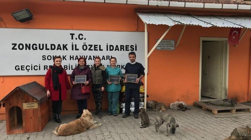 Konser Gelirleri Barınağa Teslim Edildi