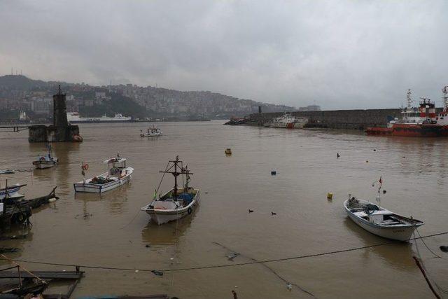 Zonguldak Limanı Sarıya Boyandı