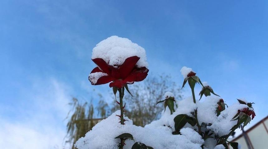 Oltu&rsquo;ya Yılın İlk Karı D&uuml;şt&uuml;