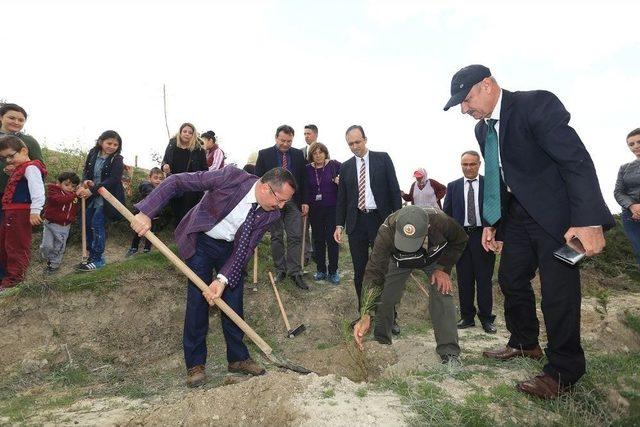 Prematüre Bebeklerle Birlikte Fidan Diktiler