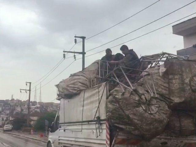 Kamyonet Kasasında Tehlikeli Yolculuk